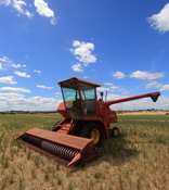 Hay chaff, pellets