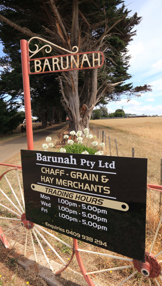 Barunah is Tasmania's premier grower and provider of grain, stockfeed, feed pellets, sherwell silos, brandt augers, hay, chaff and rolled grain products