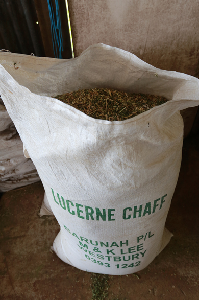 Oats and rolled oats are a popular grain from Barunah