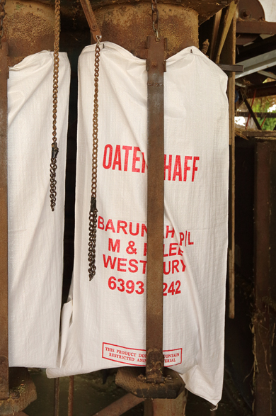 Oats and rolled oats are a popular grain from Barunah