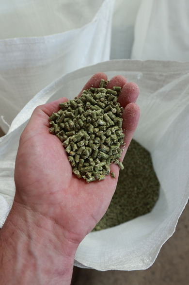 Oats and rolled oats are a popular grain from Barunah